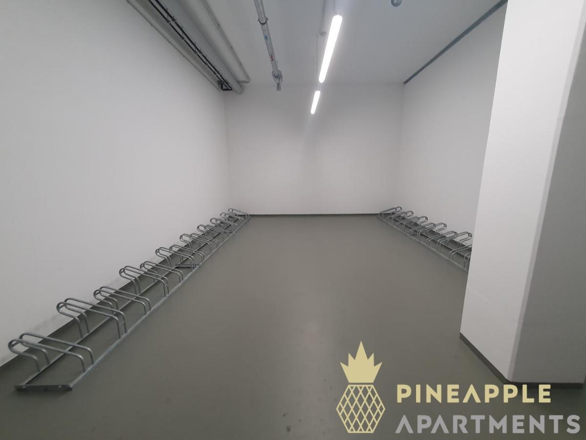Pineapple Apartments Dresden Altstadt I - 117 Qm - 1X Free Parking מראה חיצוני תמונה